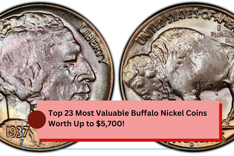 Buffalo Nickel