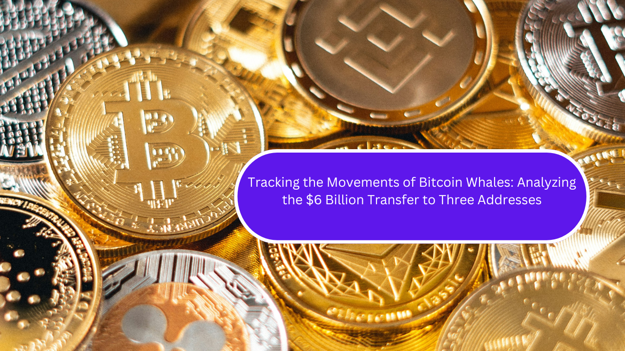 Tracking the Movements of Bitcoin Whales: Analyzing the $6 Billion Transfer to Three Addresses