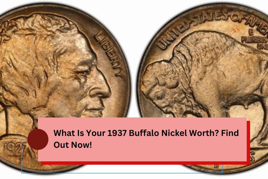 What Is Your 1937 Buffalo Nickel Worth? Find Out Now!